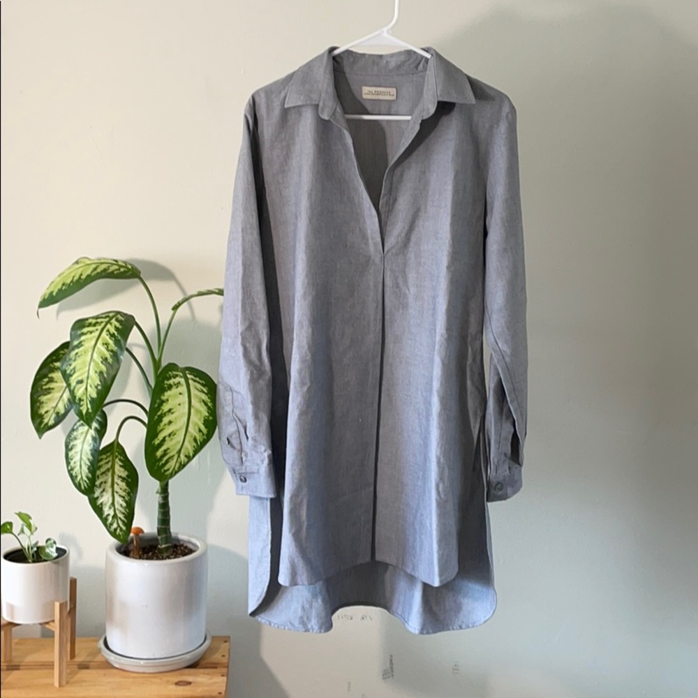 The Podolls Oxford Shirt Dress